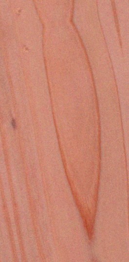 Cedar — flat_sawn