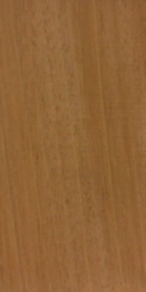 Honduran Mahogany wood grain specimen
