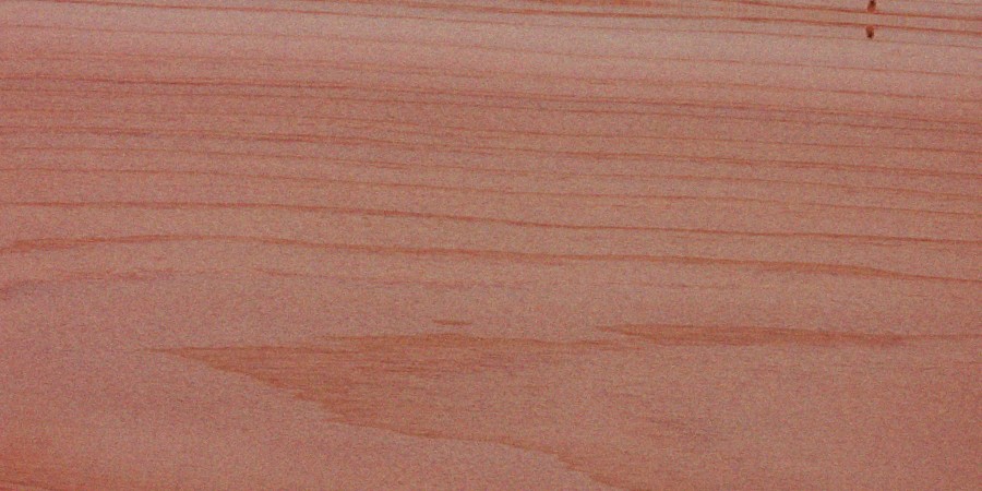 Northern White Cedar — This image likely depicts northern white cedar wood being finished, highlighting its workability and the application of finishes. | https://www.wood-database.com/wp-content/uploads/thuja-occidentalis.jpg