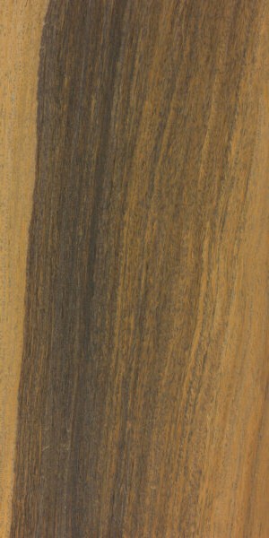 Lignum-vitae wood grain sample