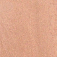 Spanish Cedar — The image shows Spanish Cedar (Cedrela odorata), highlighting its common name and scientific classification, along with details about its distribution and physical characteristics. | https://www.wood-database.com/wp-content/uploads/spanish-cedar-200x200.jpg