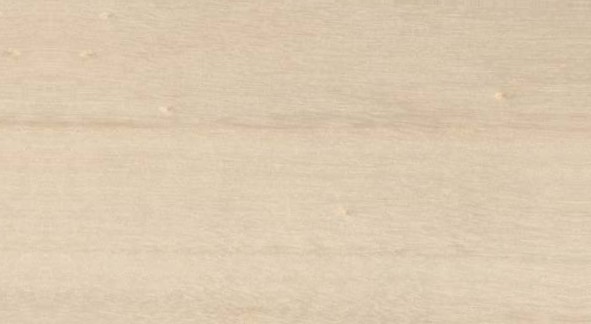 Poplar — flat_sawn