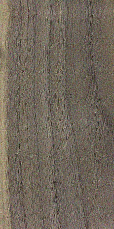 Black Walnut — This image shows black walnut wood (Juglans nigra), which is known for its height and trunk diameter, as well as its average dried weight and specific gravity. | https://www.wood-database.com/wp-content/uploads/juglans-nigra-225x450.jpg