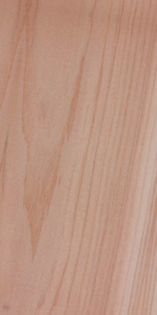 Northern White Cedar — This image shows northern white cedar (Thuja occidentalis), a tree species native to Northeastern North America, characterized by its height of 50-65 ft and trunk diameter of 1.3-2 ft. | https://www.wood-database.com/wp-content/uploads/thuja-occidentalis-225x450.jpg