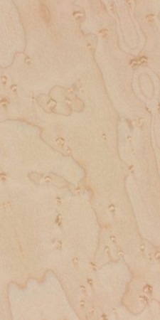 Birdseye maple — This image shows birdseye maple (Acer saccharum), which is characterized by tiny knots in the grain resembling small bird's eyes, a growth anomaly caused by unfavorable conditions. | https://www.wood-database.com/wp-content/uploads/acer-spp-birdseye-225x450.jpg