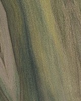 Rainbow Poplar — This image shows Rainbow Poplar wood that has been sanded, highlighting its surface texture. | https://www.wood-database.com/wp-content/uploads/rainbow-poplar-gw-160x200.jpg