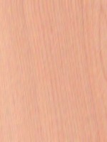 Port Orford Cedar — The image shows Port Orford Cedar (Chamaecyparis lawsoniana), a tree native to the Pacific northwest United States, known for its height and trunk diameter. | https://www.wood-database.com/wp-content/uploads/port-orford-cedar-150x200.jpg