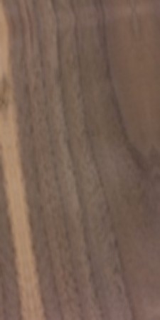Black Walnut — This image shows black walnut wood (Juglans nigra), which is known for its height and trunk diameter, as well as its average dried weight and specific gravity. | https://www.wood-database.com/wp-content/uploads/juglans-nigra-225x450.jpg