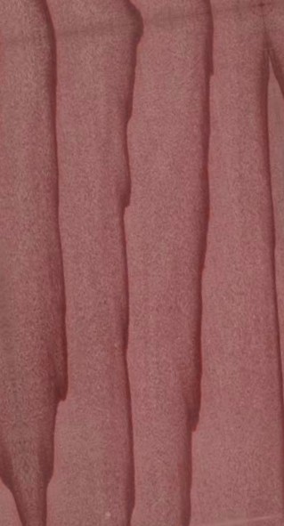 Red Cedar — flat_sawn