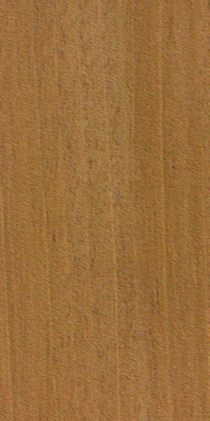 Honduran Mahogany — This image shows Honduran mahogany (Swietenia macrophylla), a tree species known for its height and trunk diameter. | https://www.wood-database.com/wp-content/uploads/swietenia-macrophylla-fs-300x600.jpg