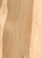 Pecan — This image shows Pecan wood (Carya illinoinensis), likely highlighting its characteristics. | https://www.wood-database.com/wp-content/uploads/pecan-146x200.jpg