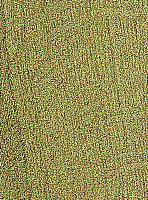 Post Oak — This image shows Post Oak (Quercus stellata), likely depicting the wood or tree itself. | https://www.wood-database.com/wp-content/uploads/post-oak-148x200.jpg