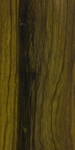 Cocobolo wood grain specimen