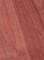 Prosopis Juliflora — This image shows Prosopis juliflora, a species of tree, likely depicting its general appearance. | https://www.wood-database.com/wp-content/uploads/prosopis-juliflora-148x200.jpg