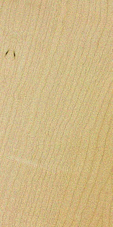 Acer (maple) genus — This image shows the example species Acer saccharum, commonly known as hard maple or sugar maple, which is characterized by its moderate density and strength, making it one of the hardest and heaviest species in the maple genus. | https://www.wood-database.com/wp-content/uploads/acer-saccharum-225x450.jpg
