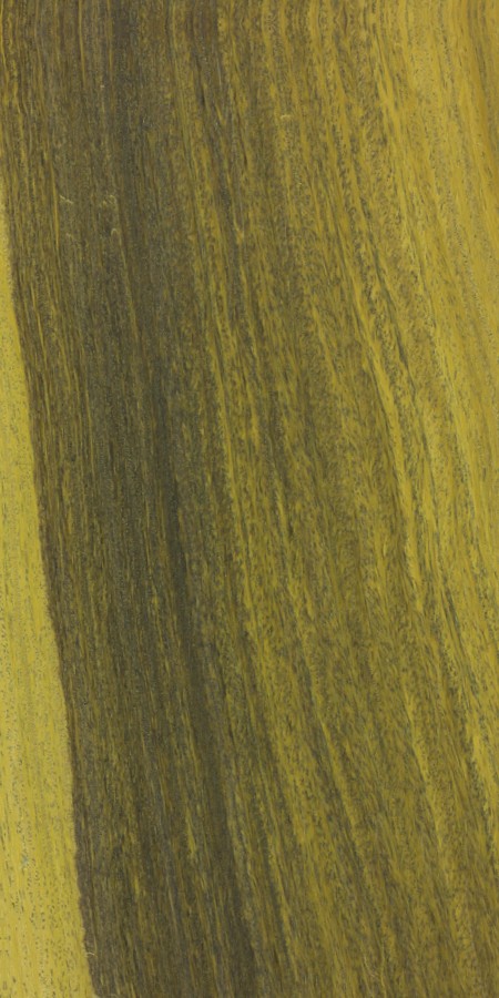 Lignum-vitae wood grain sample