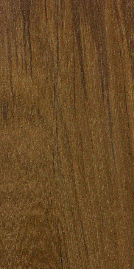 Teak — This image likely depicts Teak wood, possibly showcasing its surface or finish, as it is mentioned in the context of applying a wood finish. | https://www.wood-database.com/wp-content/uploads/tectona-grandis.jpg