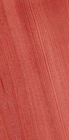European Larch — quarter_sawn
