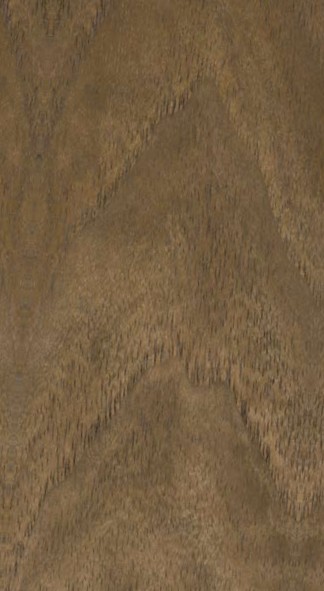 Walnut — flat_sawn