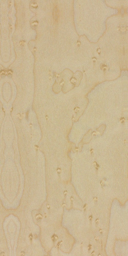 Birdseye maple — This image likely depicts birdseye maple, showcasing the unique grain pattern that resembles small bird's eyes, a result of specific growth conditions. | https://www.wood-database.com/wp-content/uploads/acer-spp-birdseye.jpg