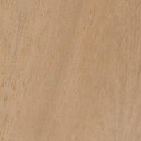 Spanish Cedar — The image shows Spanish Cedar (Cedrela odorata), highlighting its common name and scientific classification, along with details about its distribution and physical characteristics. | https://www.wood-database.com/wp-content/uploads/spanish-cedar-200x200.jpg