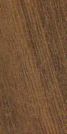 Australian Blackwood — This image shows Australian blackwood (Acacia melanoxylon), a tree native to Tasmania and eastern Australia, known for its variable color and contrasting bands in growth rings. | https://www.wood-database.com/wp-content/uploads/acacia-melanoxylon-1-225x450.jpg