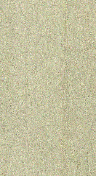 Poplar — flat_sawn