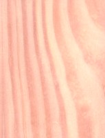 Lodgepole Pine — This image shows Lodgepole Pine (Pinus contorta), likely depicting the wood or tree itself. | https://www.wood-database.com/wp-content/uploads/lodgepole-pine-2-153x200.jpg
