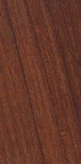 African Padauk* / Padouk d’Afrique — quarter_sawn