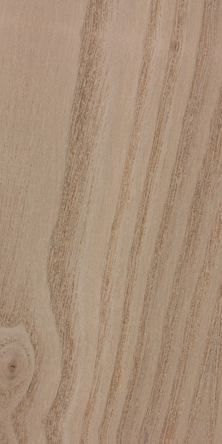 Sassafras wood grain sample
