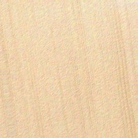 Sitka Spruce — This image shows Sitka Spruce (Picea sitchensis), likely depicting the wood or tree itself. | https://www.wood-database.com/wp-content/uploads/sitka-spruce-200x200.jpg