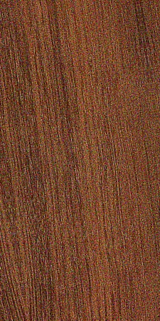 Acacia (wattle) genus — This image shows Australian blackwood (Acacia melanoxylon), a species known for its medium to dark brown heartwood and sharply demarcated sapwood. | https://www.wood-database.com/wp-content/uploads/acacia-melanoxylon-1-225x450.jpg