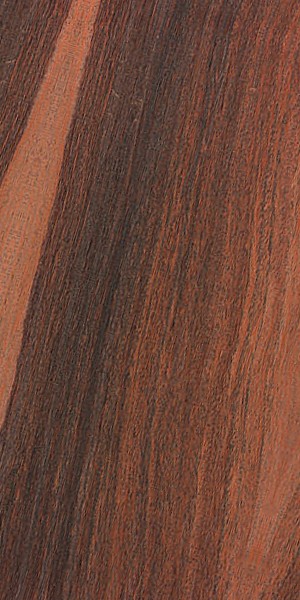 Lignum-vitae wood grain sample