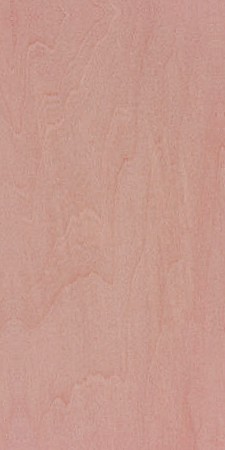 Basswood — This image shows Basswood (Tilia americana), a tree species native to Eastern North America, characterized by its height of 65-120 ft and trunk diameter of 3-4 ft. | https://www.wood-database.com/wp-content/uploads/tilia-americana-225x450.jpg