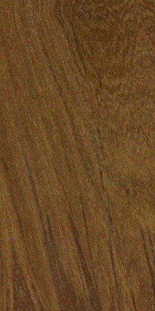 Teak — This image shows Teak (Tectona grandis), a tree species native to southern Asia and widely grown in tropical regions. It highlights the tree's size, with heights of 100-130 ft and trunk diameters of 3-5 ft. | https://www.wood-database.com/wp-content/uploads/tectona-grandis-225x450.jpg