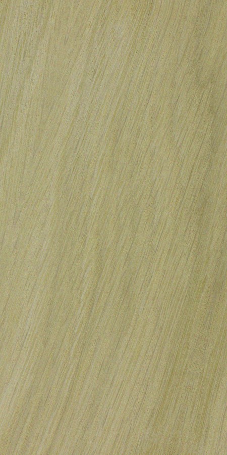 White Oak — flat_sawn