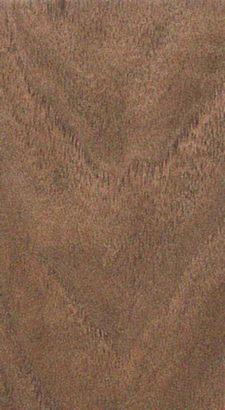 Walnut — flat_sawn