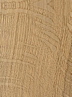 Post Oak — This image shows Post Oak (Quercus stellata), likely depicting the wood or tree itself. | https://www.wood-database.com/wp-content/uploads/post-oak-148x200.jpg