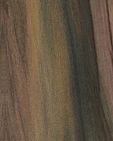Rainbow Poplar — This image depicts Rainbow Poplar wood that has been sealed, which may enhance its appearance and protect the surface. | https://www.wood-database.com/wp-content/uploads/rainbow-poplar-sealed-gw-160x200.jpg