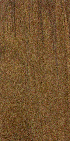 Teak — This image shows Teak (Tectona grandis), a tree species native to southern Asia and widely grown in tropical regions. It highlights the tree's size, with heights of 100-130 ft and trunk diameters of 3-5 ft. | https://www.wood-database.com/wp-content/uploads/tectona-grandis-225x450.jpg