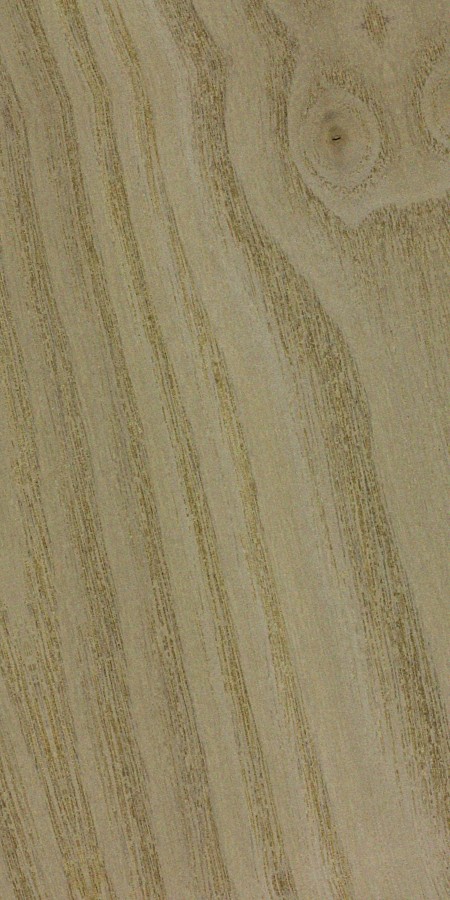 Sassafras wood grain sample