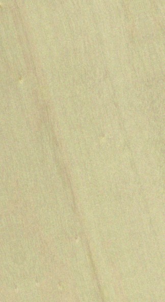 Poplar — flat_sawn