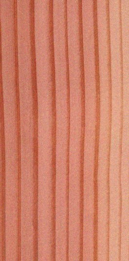 Douglas fir wood grain specimen