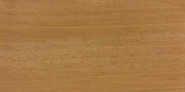 Honduran Mahogany — This image shows Honduran mahogany (Swietenia macrophylla), a tree species known for its height and trunk diameter. | https://www.wood-database.com/wp-content/uploads/swietenia-macrophylla-fs-300x600.jpg