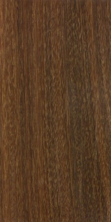 Ipe — This image shows Ipe wood (Handroanthus serratifolius), a species known for its durability and strength, commonly found in tropical Central and South America. | https://www.wood-database.com/wp-content/uploads/handroanthus-serratifolius-225x450.jpg