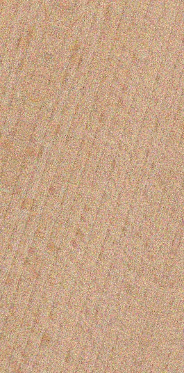 Beech — quarter_sawn