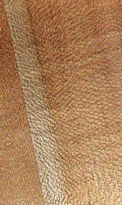 Common hazel — An image associated with the Avellano (hazelnut) fact sheet. In context, it belongs to a set of images illustrating the species or its wood, whose heartwood, sapwood, properties, origin, and uses are described in the text.