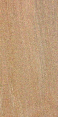 Betulaceae (birch) family — This image shows a species of birch, specifically Betula pendula, which is part of the Betulaceae family. The surrounding text indicates that this family includes several genera, with birch being the most commercially significant. | https://www.wood-database.com/wp-content/uploads/betula-pendula-225x450.jpg