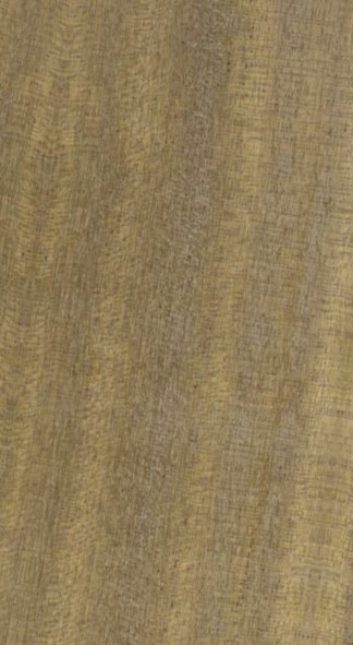 Sapelli /Sapele* — quarter_sawn