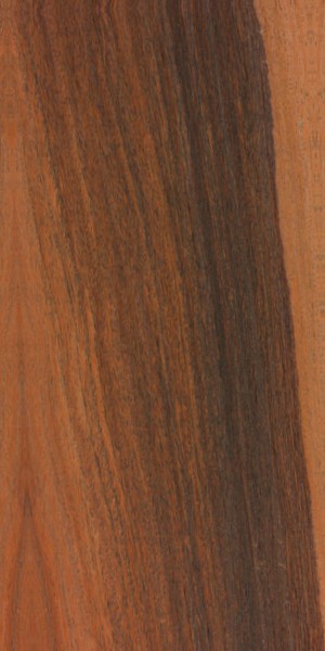 Lignum-vitae wood grain sample